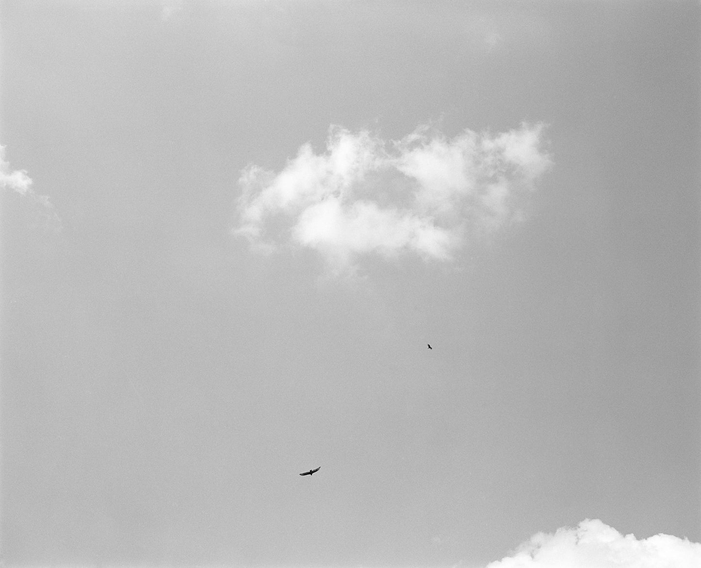 Editon No. 3 Mark Steinmetz