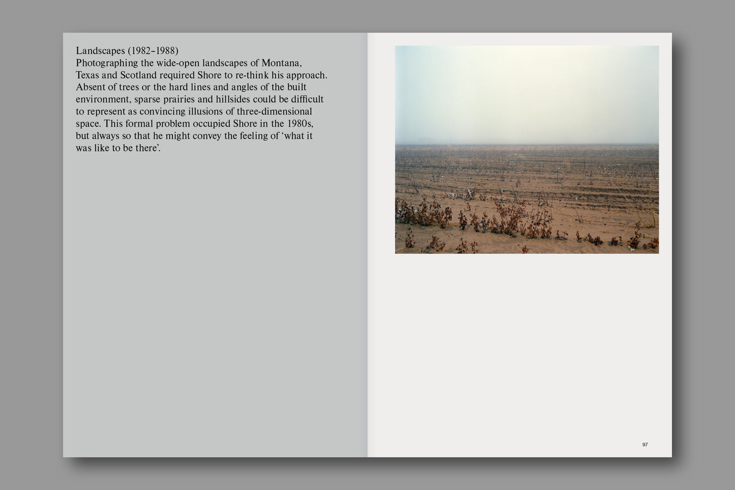 Issue 214: Stephen Shore