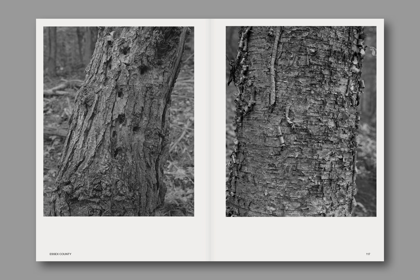 Issue 214: Stephen Shore
