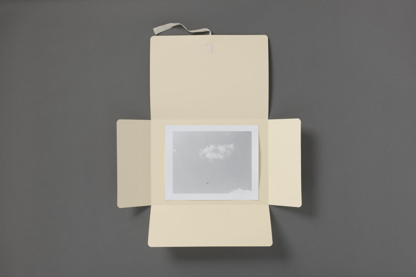 Editon No. 3 Mark Steinmetz