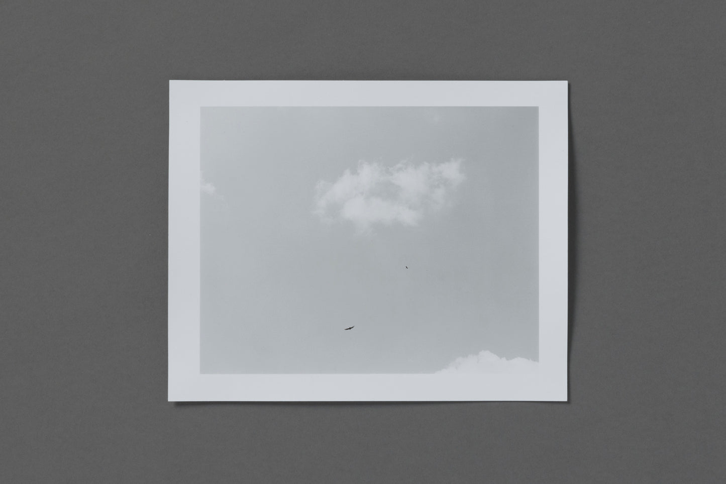 Editon No. 3 Mark Steinmetz