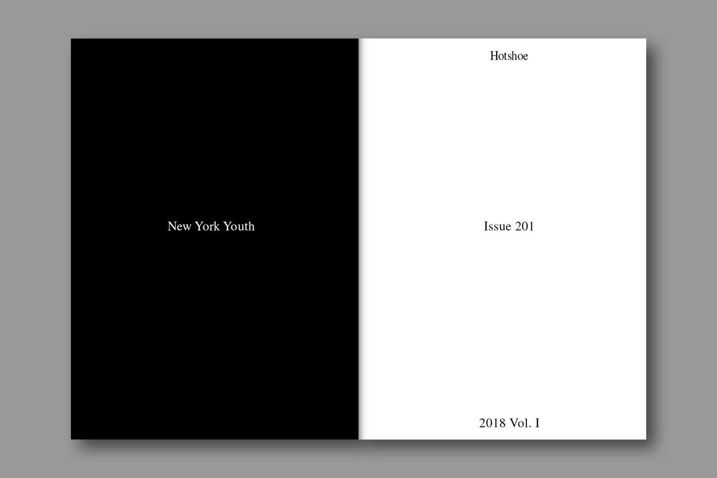 Issue 201: New York Youth