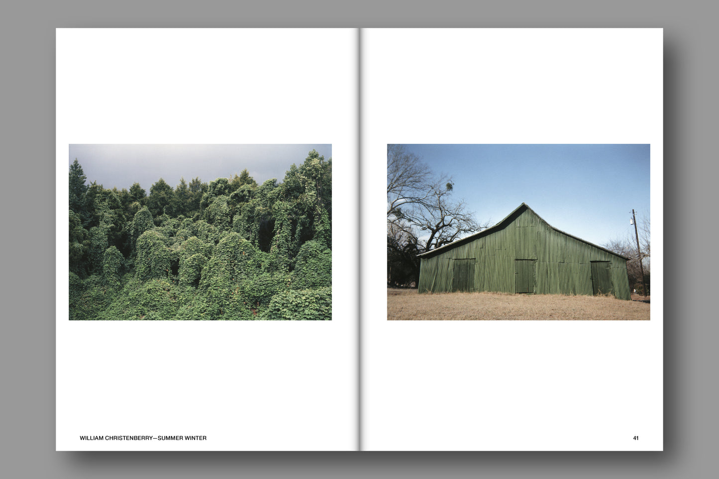 Issue 203: Southern