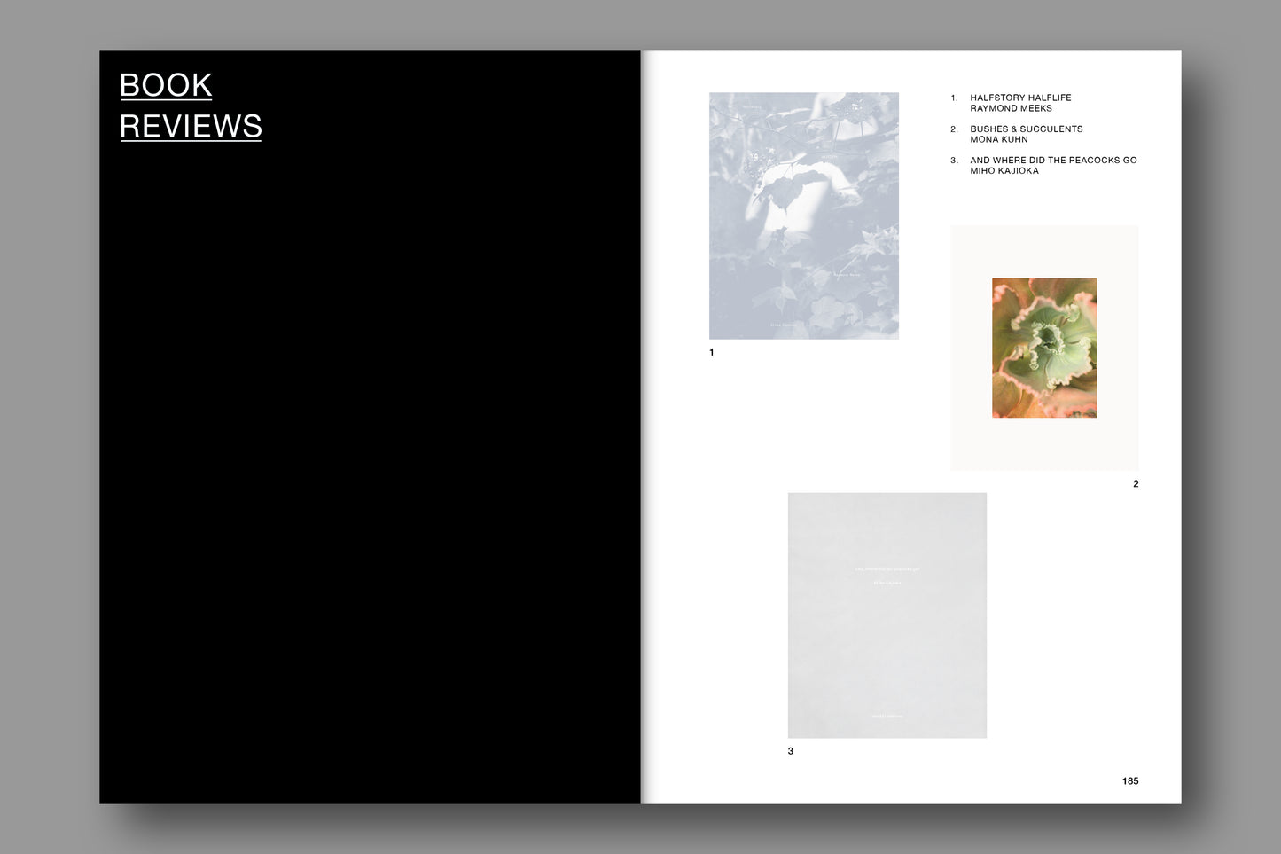 Issue 203: Southern