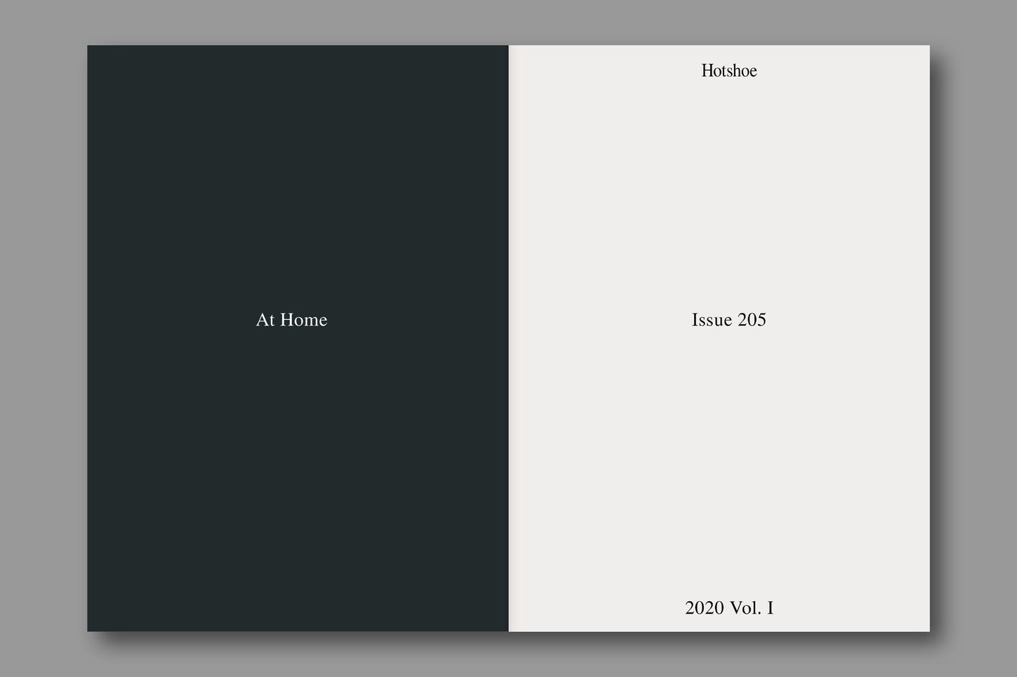 Issue 205: At Home
