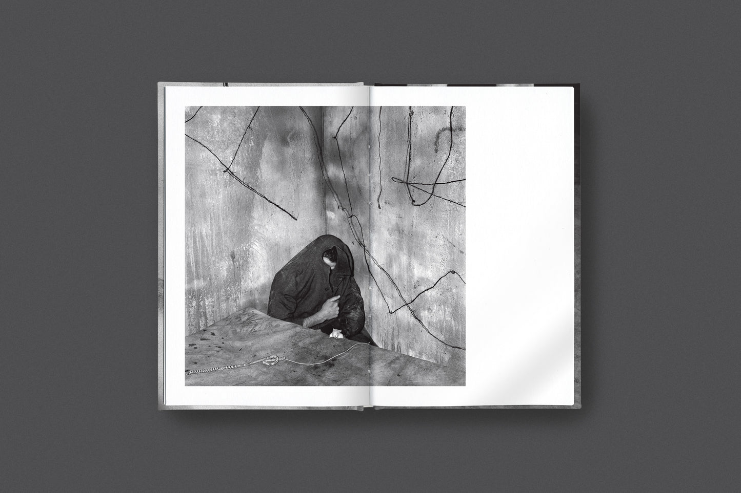 Crude Metaphors Vol 5: Roger Ballen & Adam Ganz: Elemental