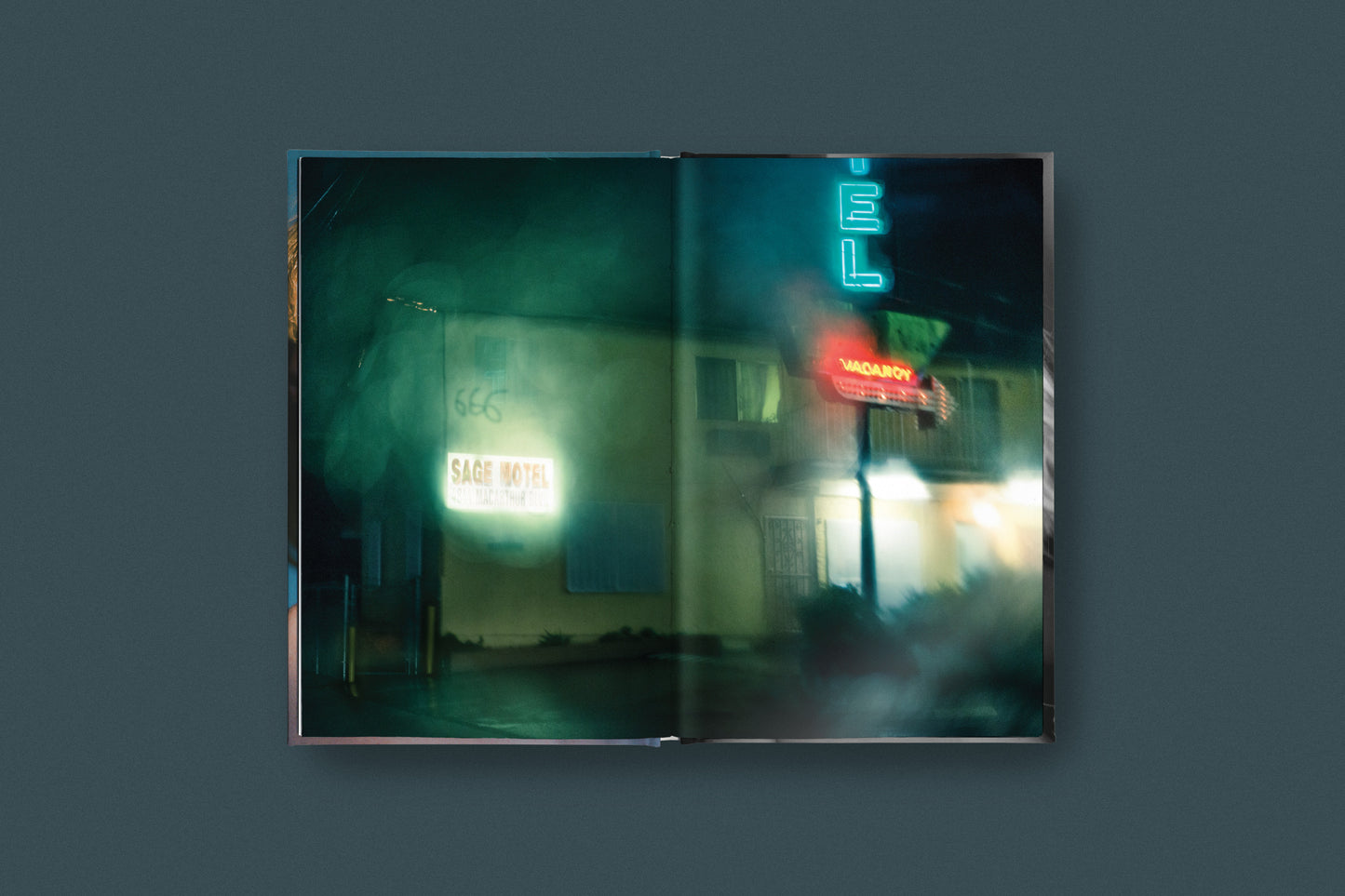 Crude Metaphors Vol 1: Todd Hido & Amanda Schiff: After Her