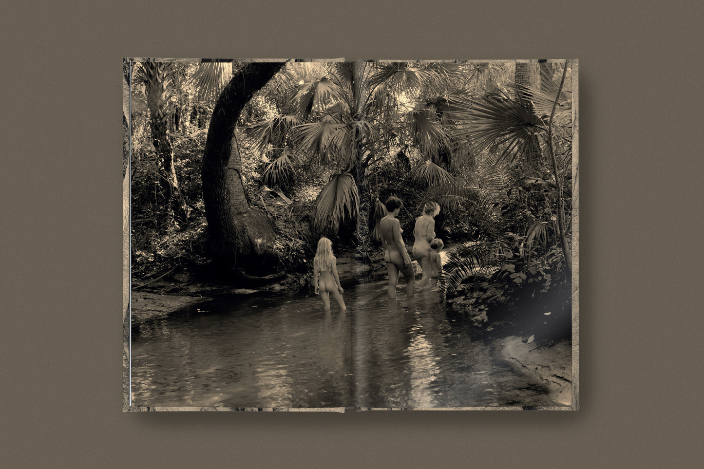 Crude Metaphors Vol 4: Esther Teichmann & Cyrus Shahrad: Inheritors