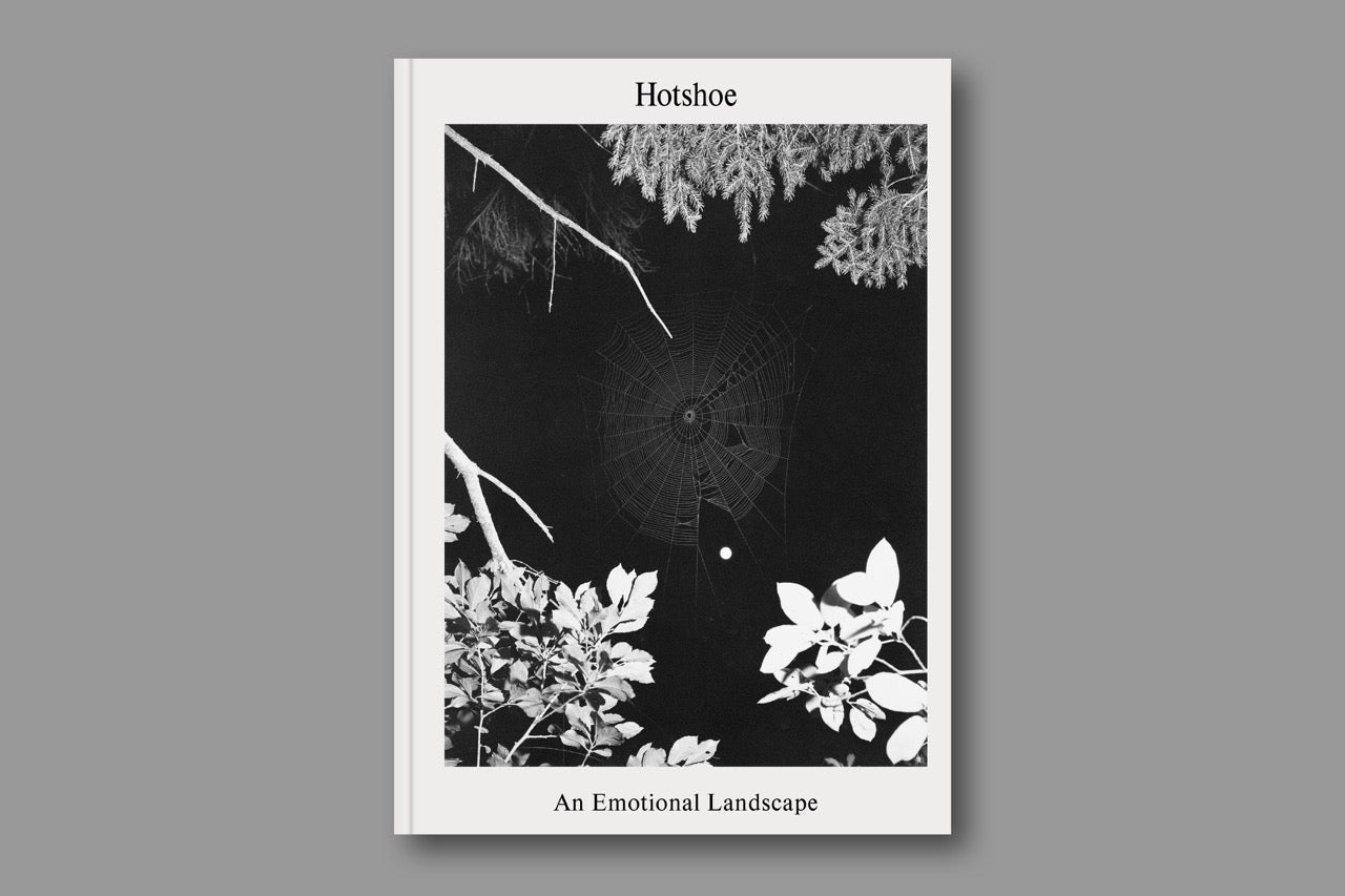 Issue 209: An Emotional Landscape
